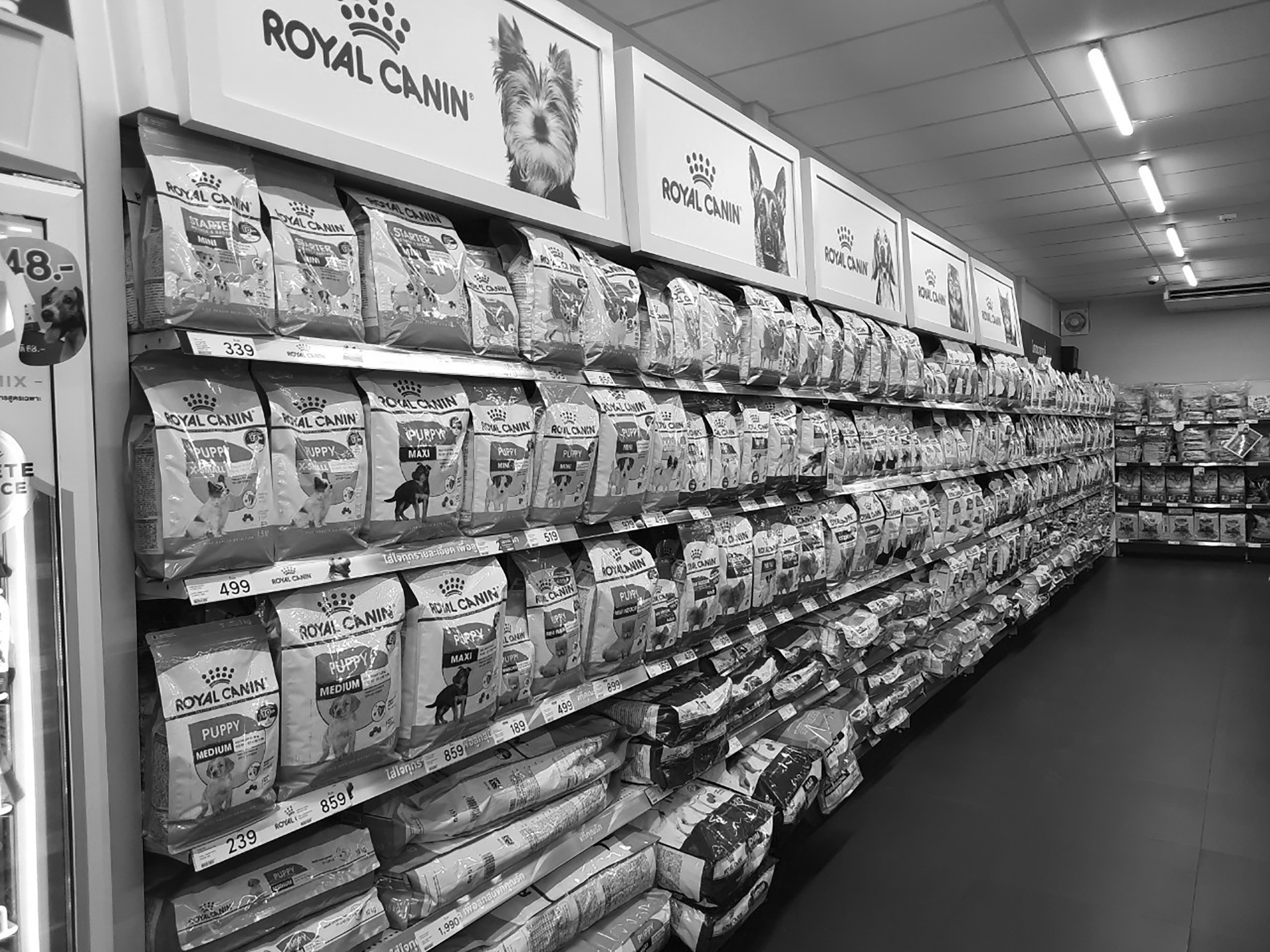 Royal-Canin-Home-Shelf-high-res-ConvertImage